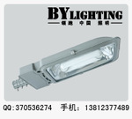 廠家批發(fā)供應(yīng)路燈 低頻無極燈路燈